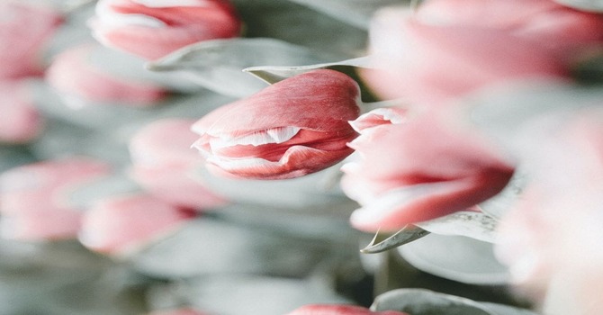 Simple Coping Skills image