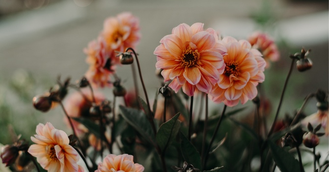 “What can Jean Val Jean teach us about love and parenting?”