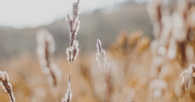 Body Scanning To Soothe Anxiety