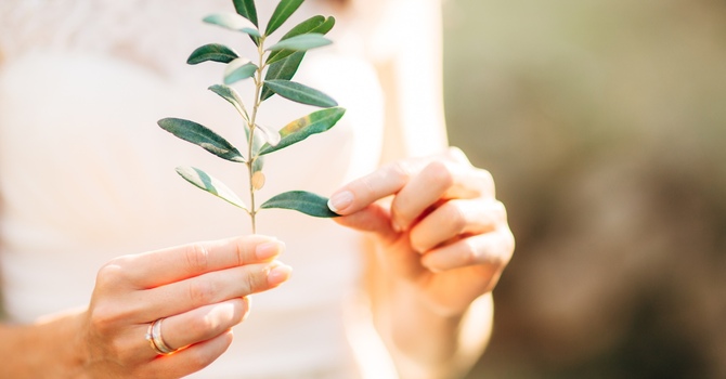 You talk about THAT in therapy? 